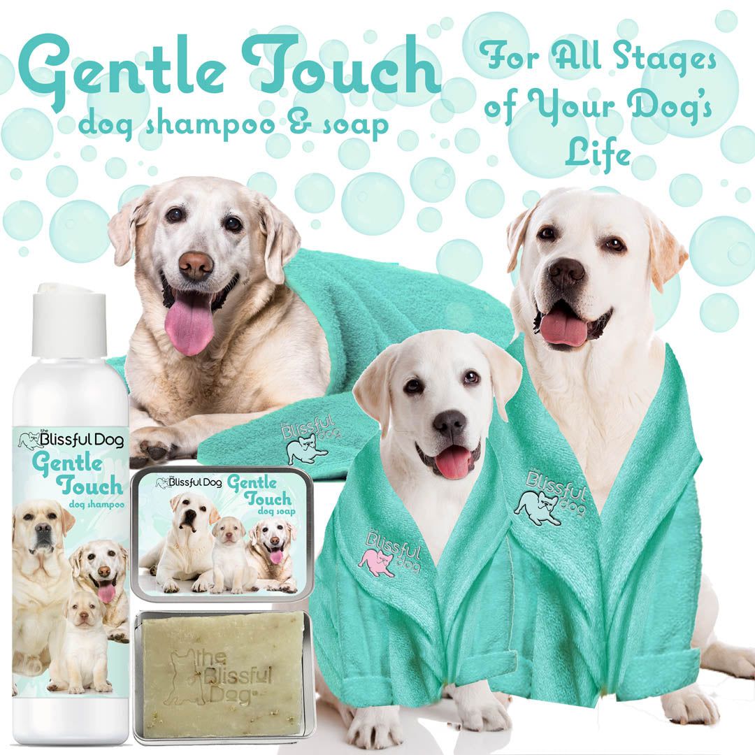 Dog shampoo bottle and bar soap tin labeled Gentle Touch, shown beside teal towel