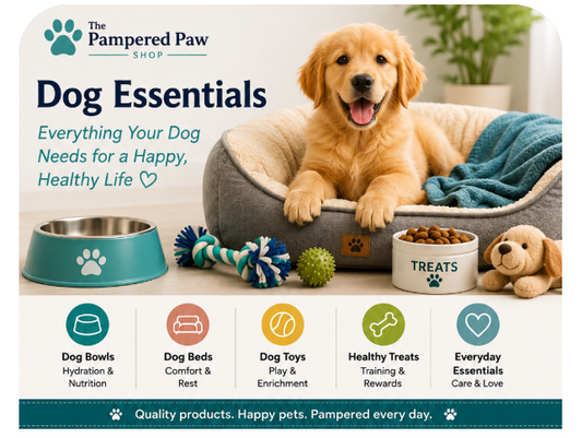 Dog Essentials