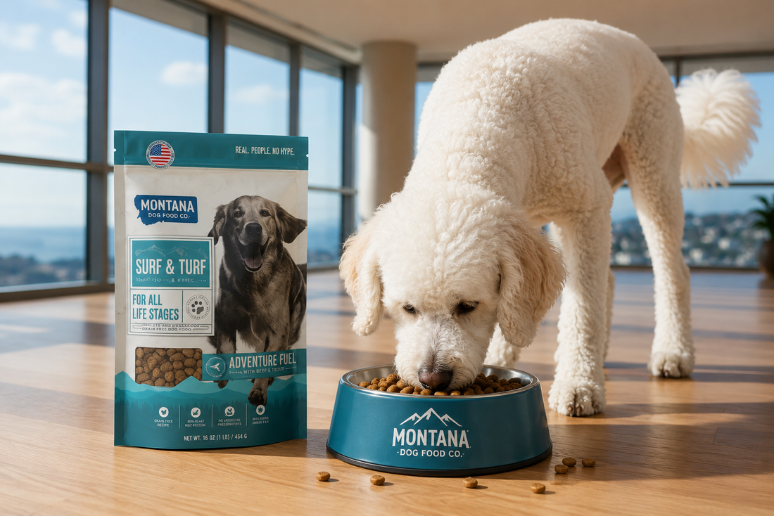 Grain-Free Dog and Cat Food: Understanding the Potential Benefits