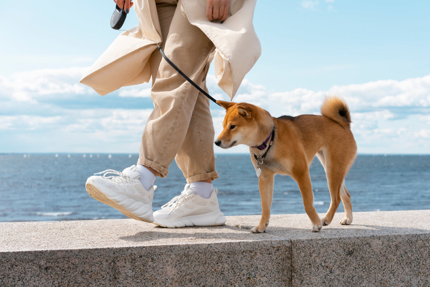 Walk & Harness