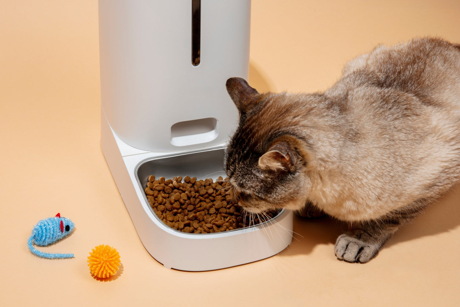Feeding
