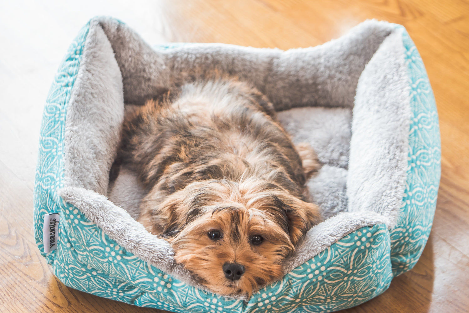 Beds & Mats