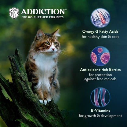 Dry cat food benefits: omega-3 for skin & coat, antioxidant-rich berries, B-vitamins