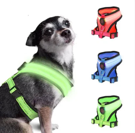 Dog wearing green LED harness; inset shows red, blue, and green harness options