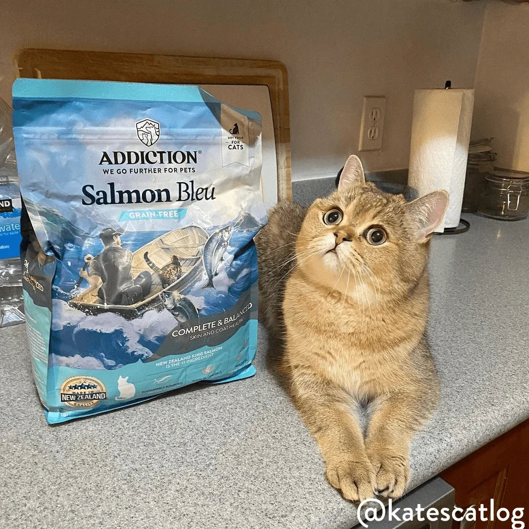 Salmon Bleu grain-free dry cat food bag with sitting tabby cat beside it
