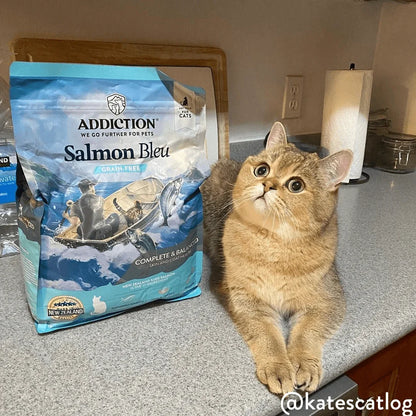 Salmon Bleu grain-free dry cat food bag with sitting tabby cat beside it