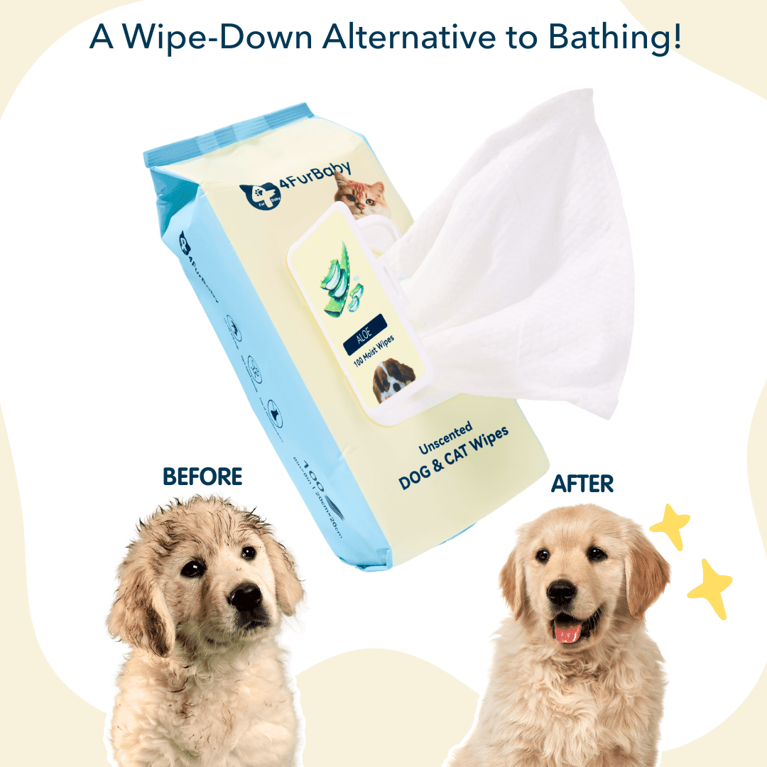 Dog & cat wipes pack with folded white wipes and two dogs on a before-after graphic