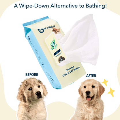 Dog & cat wipes pack with folded white wipes and two dogs on a before-after graphic