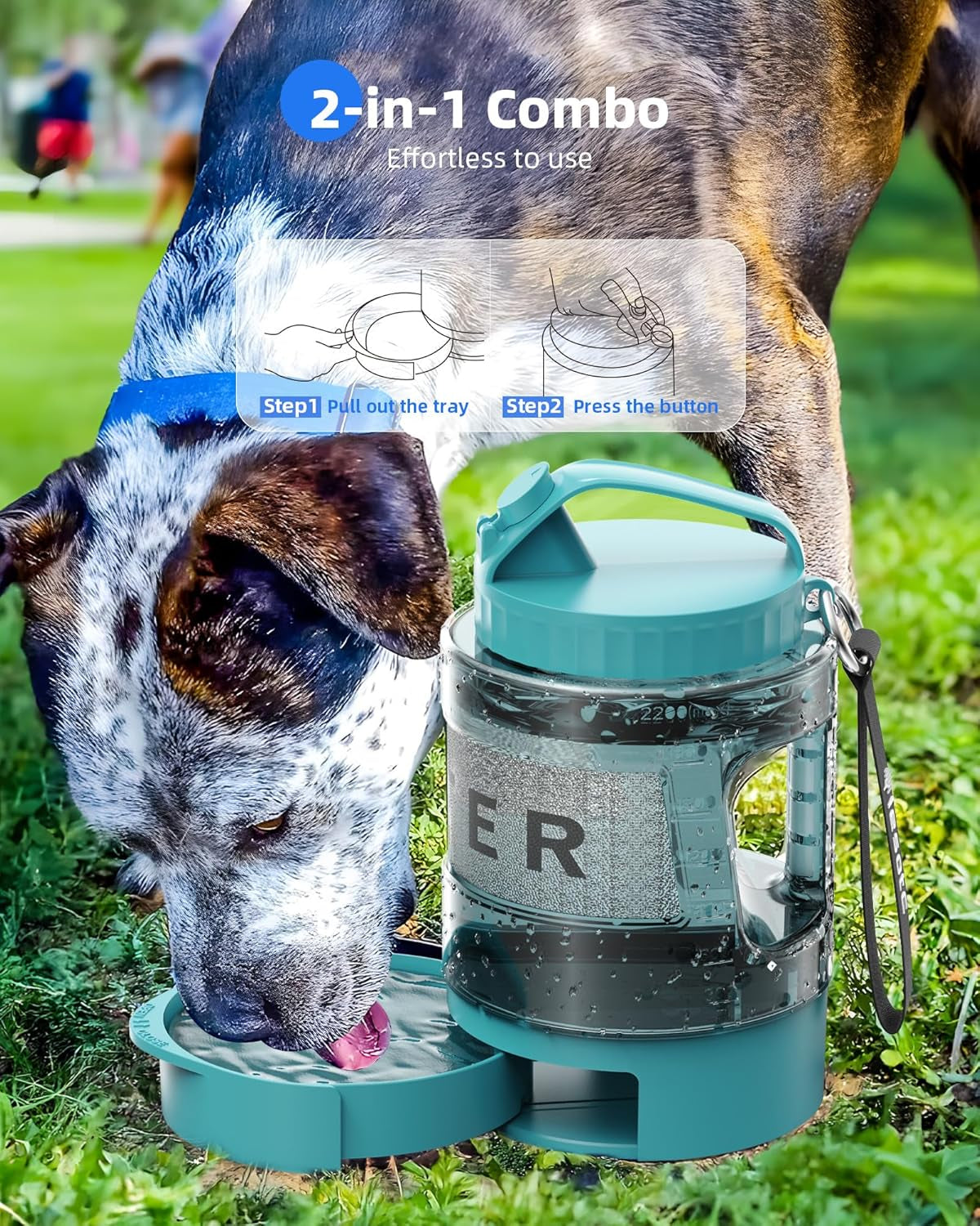 Teal-and-clear dog travel water bottle with drinking bowl base