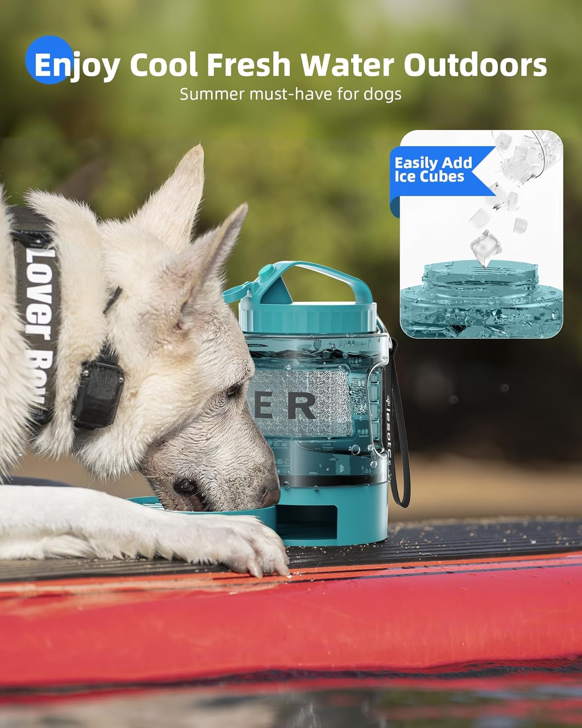 Teal dog travel water bottle with built-in drinking bowl for cool outdoor water