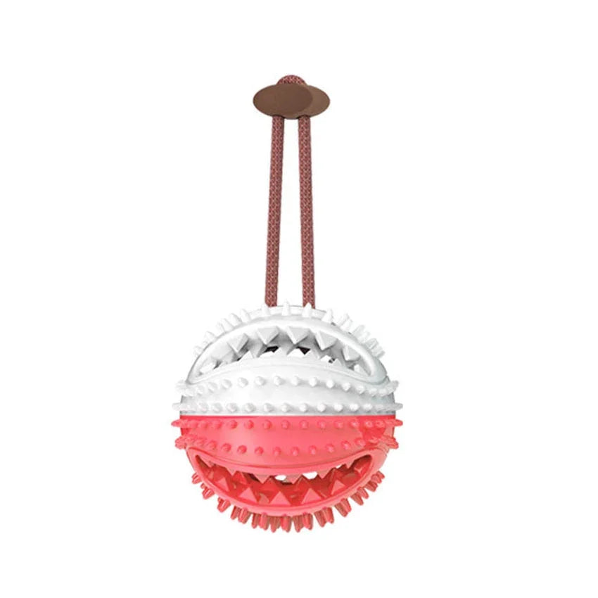 Pink and white dog chew toy ball with rope handle for interactive play and dental care