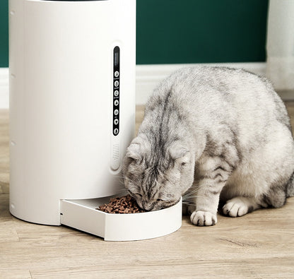 White automatic smart pet feeder with front tray as a cat eats from it