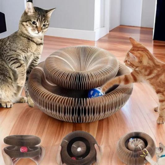 Camel corrugated scratch cat toy with curled track and blue ball