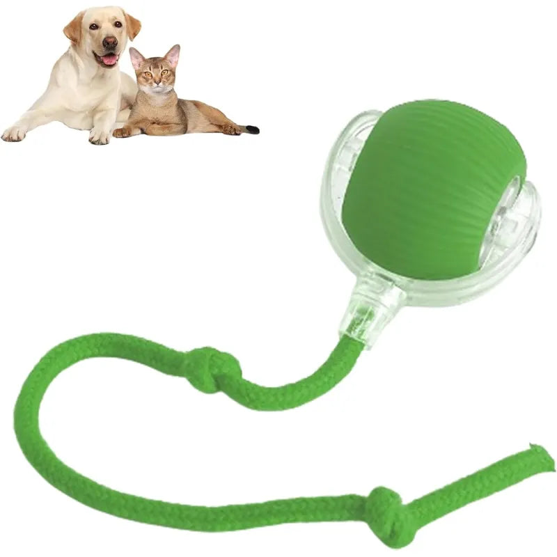 Green 360 rolling pet ball toy with clear launcher and green textured cord