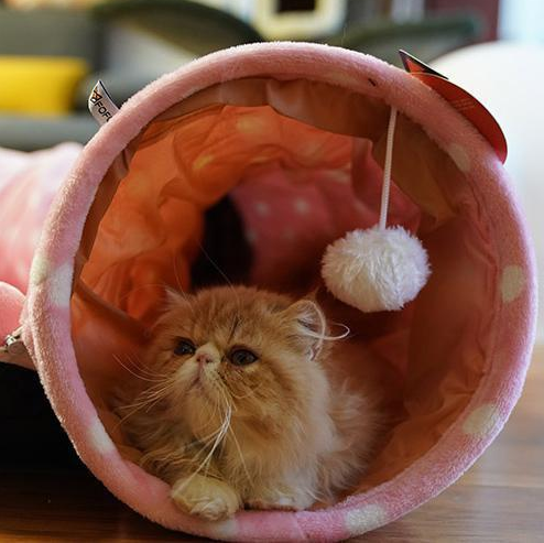 Pink plush cat tunnel bed with circular entrance, hanging pom-pom, and resting cat