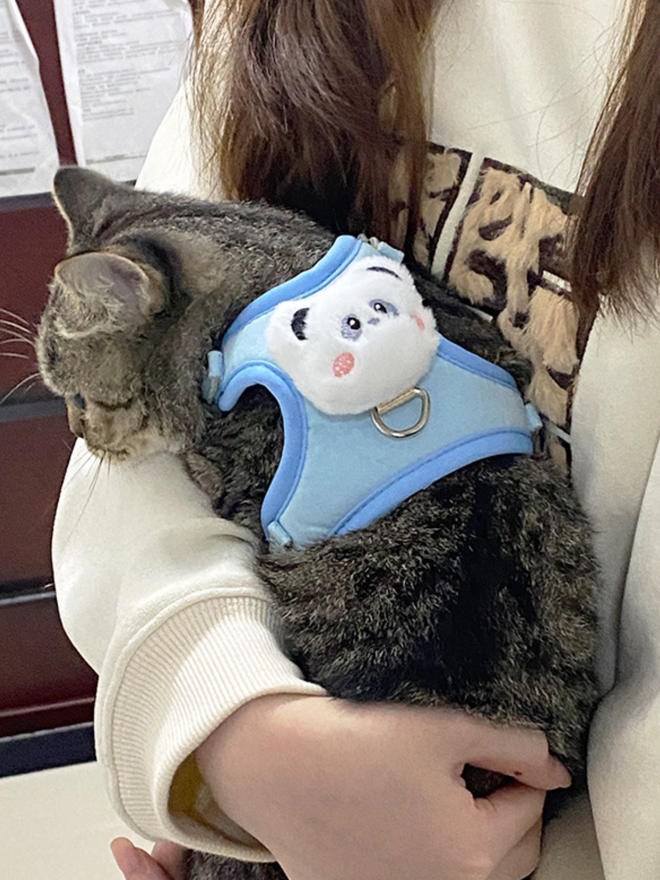 Blue pet harness with plush bear face patch, worn on a gray cat held in arms