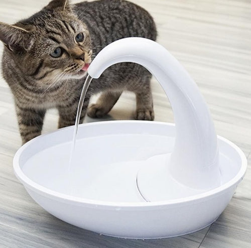 White automatic pet water dispenser bowl with curved drinking spout, cat drinking
