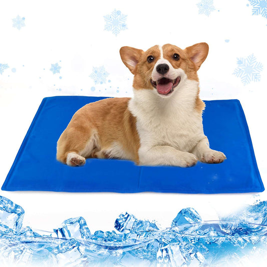 Blue pet cooling mat with corgi dog lying on top