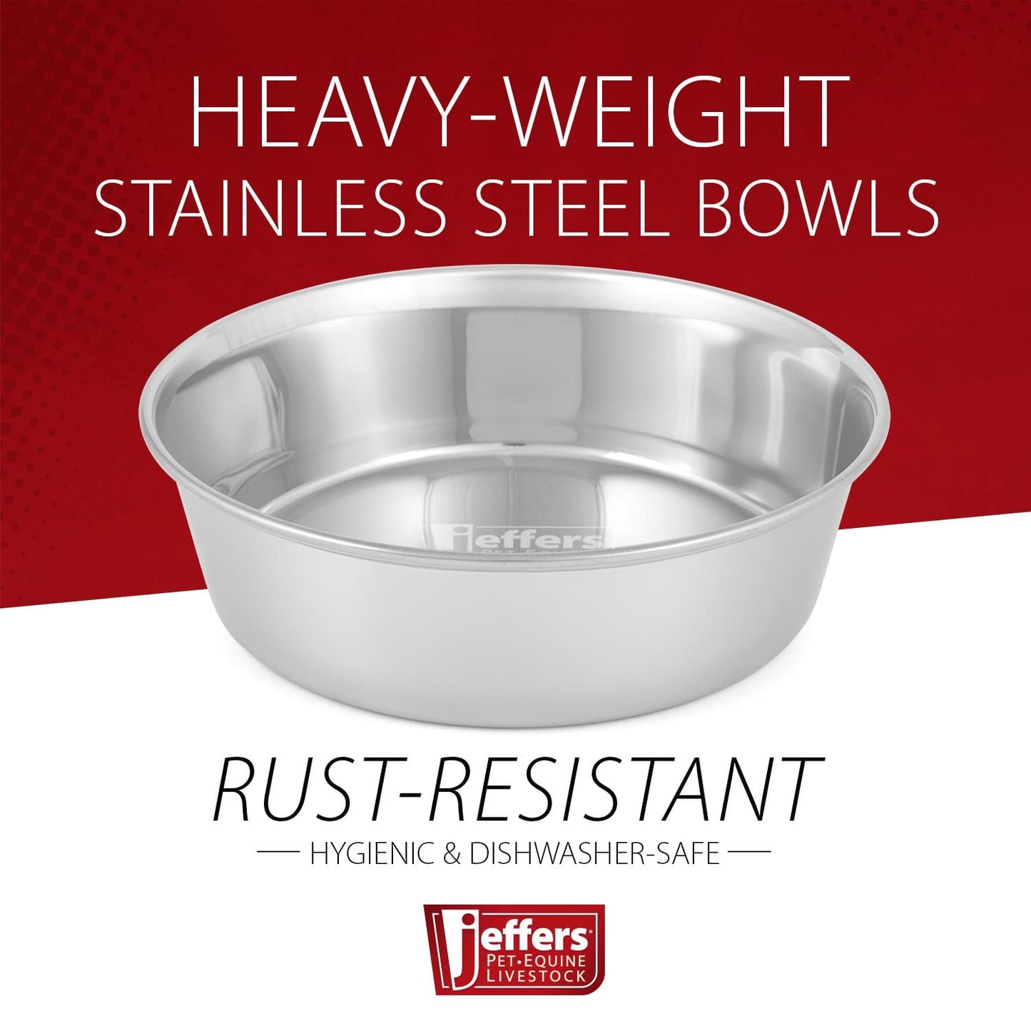 Stainless steel pet bowl with polished rim and round interior, centered front view.