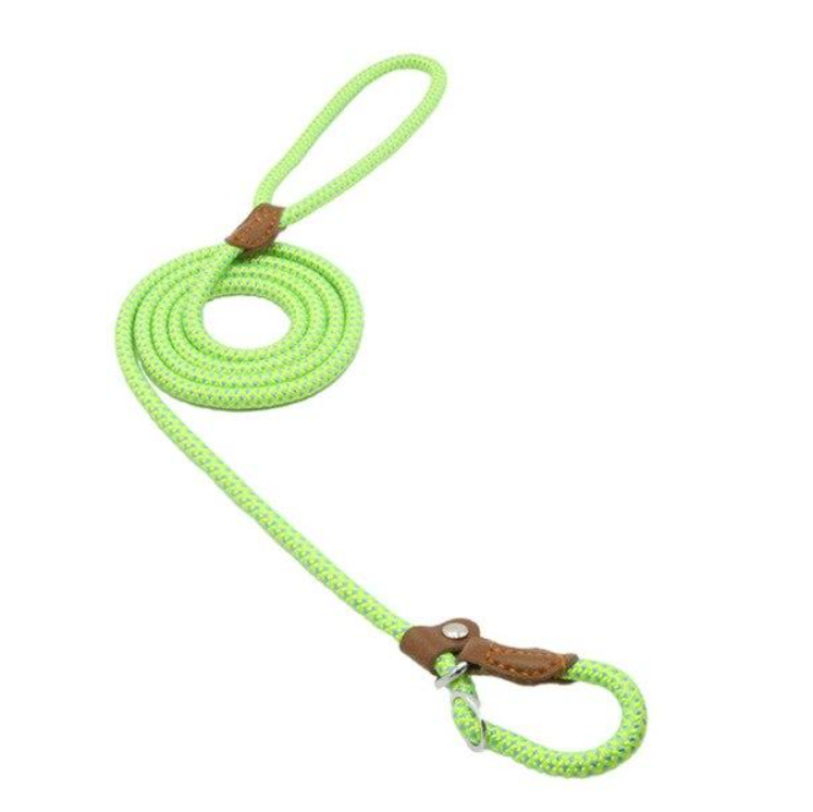 Braided nylon dog leash and collar set, neon green rope with brown leather tabs