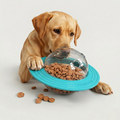 Teal interactive dog treat toy with clear spinning dome and ridged base