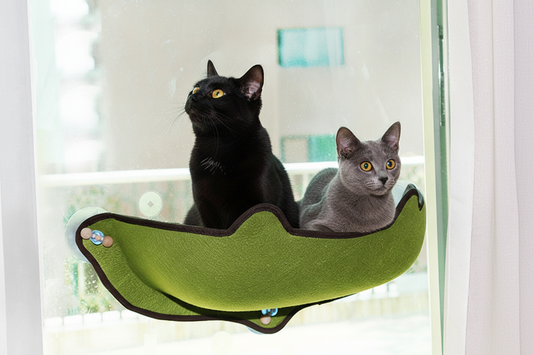 Green window cat hammock with dark trim and four suction cups, holding cats