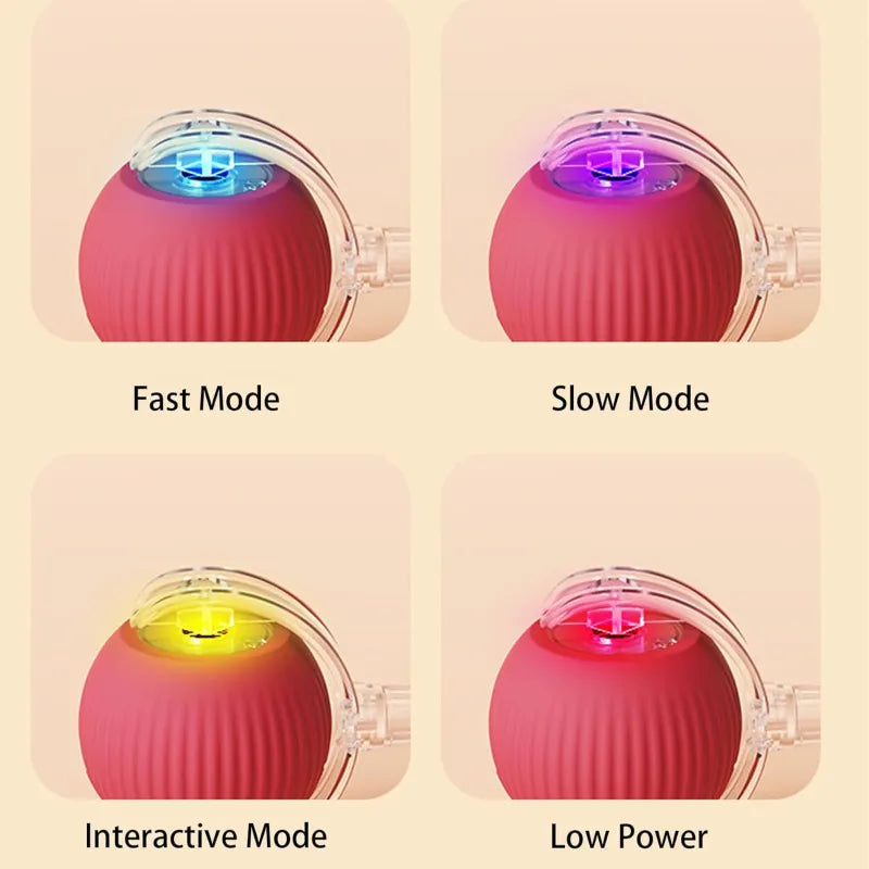 Red pet ball toy with clear housing and multicolor LED indicators