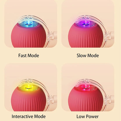 Red pet ball toy with clear housing and multicolor LED indicators