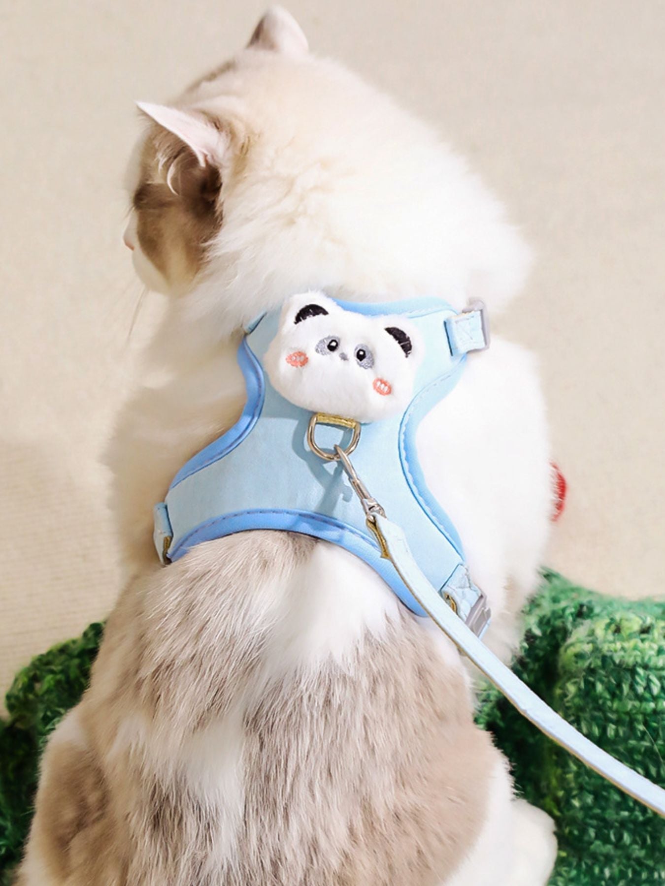 Light blue pet harness with plush bear face patch and leash, worn on a white cat