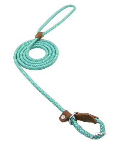 Braided nylon dog leash and collar set, turquoise rope with brown leather tabs