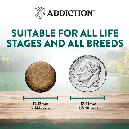 Dry dog food kibble for all life stages, 11–13 mm kibble size