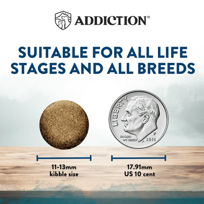 Dry dog food serving sizing graphic with kibble size circle and US cent marks