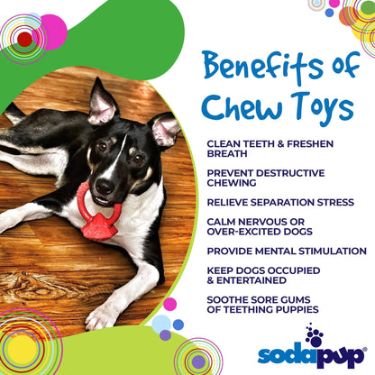 Red diamond teething ring with circular loop on dog benefits graphic