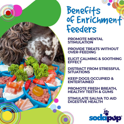 Black-and-white dog eating from a colorful enrichment feeder tray