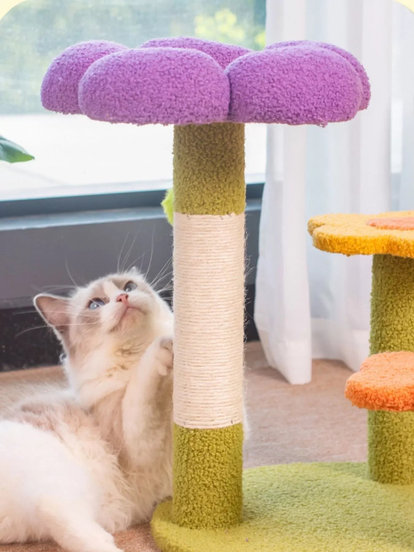 Purple flower top cat perch with beige scratching post and fluffy kitten resting