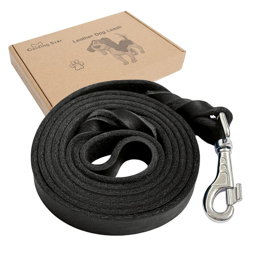 Black braided leather dog leash with metal clasp, coiled length