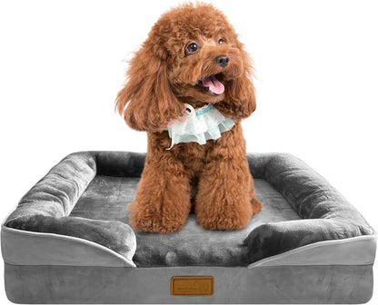 Brown dog sitting on a gray orthopedic dog bed with raised bolster sides