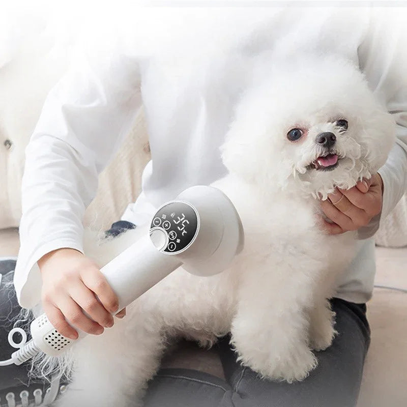 Pet hair dryer with blowing comb attachment held near a white dog
