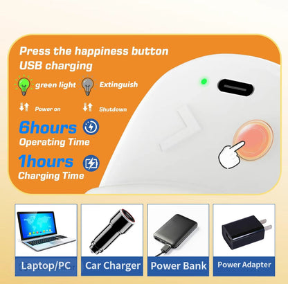 Electric cat toy control unit with USB charging and power switch for door mount