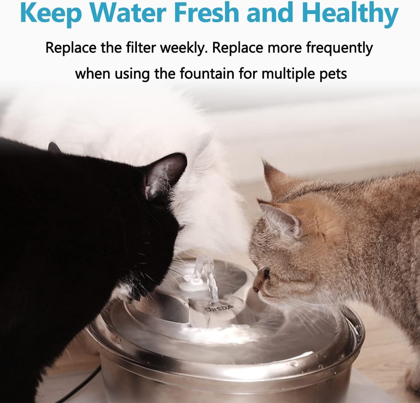 Cat water fountain filter replacement with cats drinking from a pet water fountain