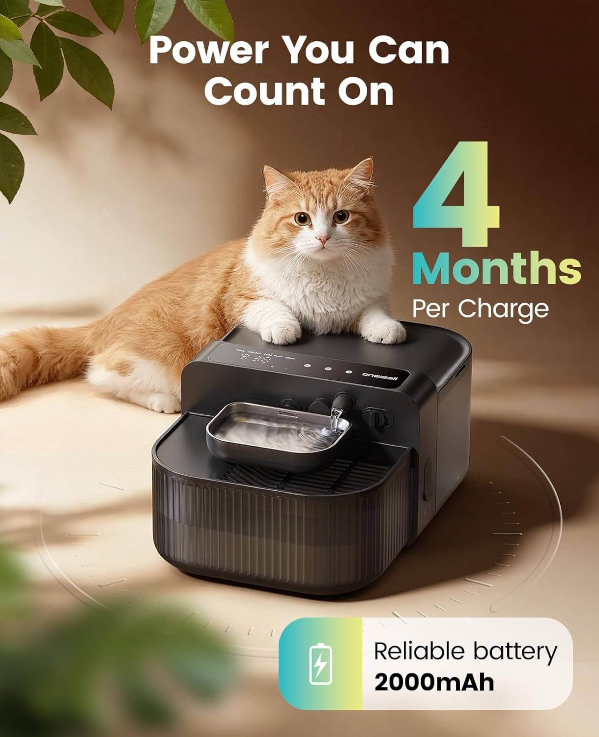 Black cat water fountain with stainless bowl and control panel, orange cat nearby