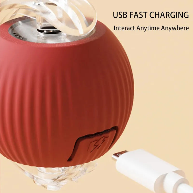 Red 360 pet ball toy with clear base and USB charging cable