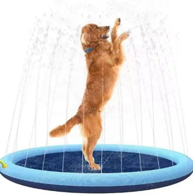Pet swimming pool with blue rim and dark base, dog poised on the edge