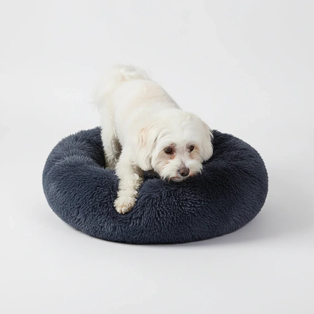 Small white dog resting in a Midfox plush donut comfort pet bed in navy blue.