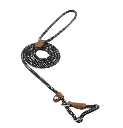Black and white braided nylon dog leash set with leather handle and loop clasp