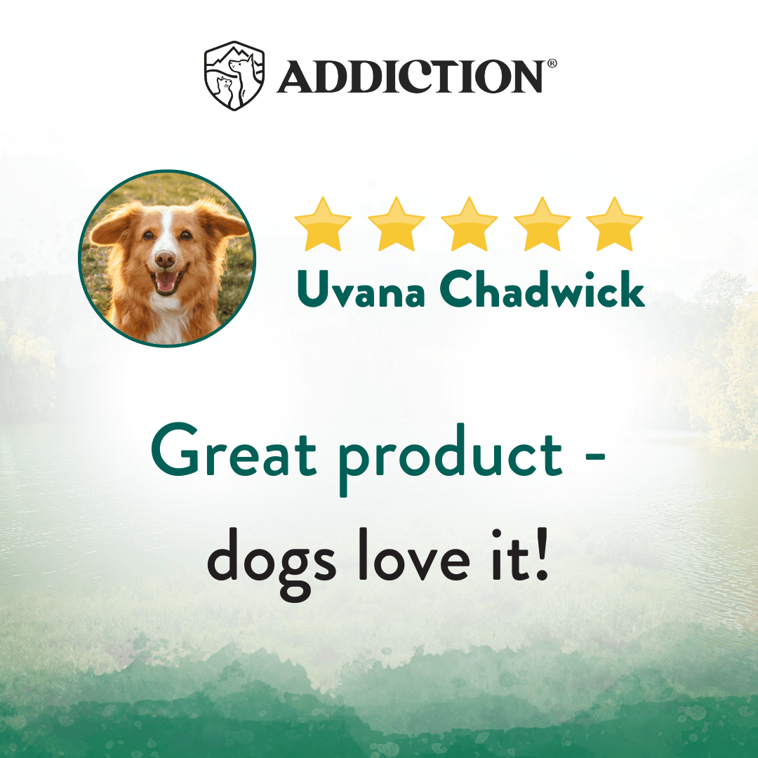 Dry dog food customer rating graphic with five stars and dog portrait