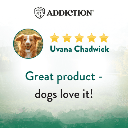 Dry dog food customer rating graphic with five stars and dog portrait
