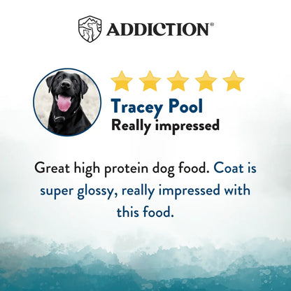 Customer review panel with dog photo and star rating for high protein food