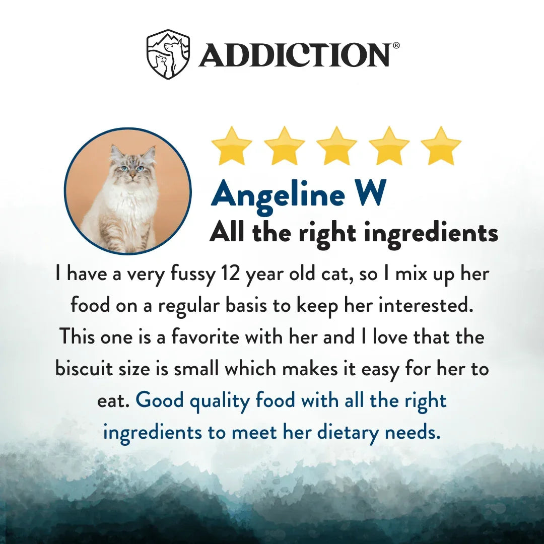 Customer review panel featuring Angeline W and five-star rating