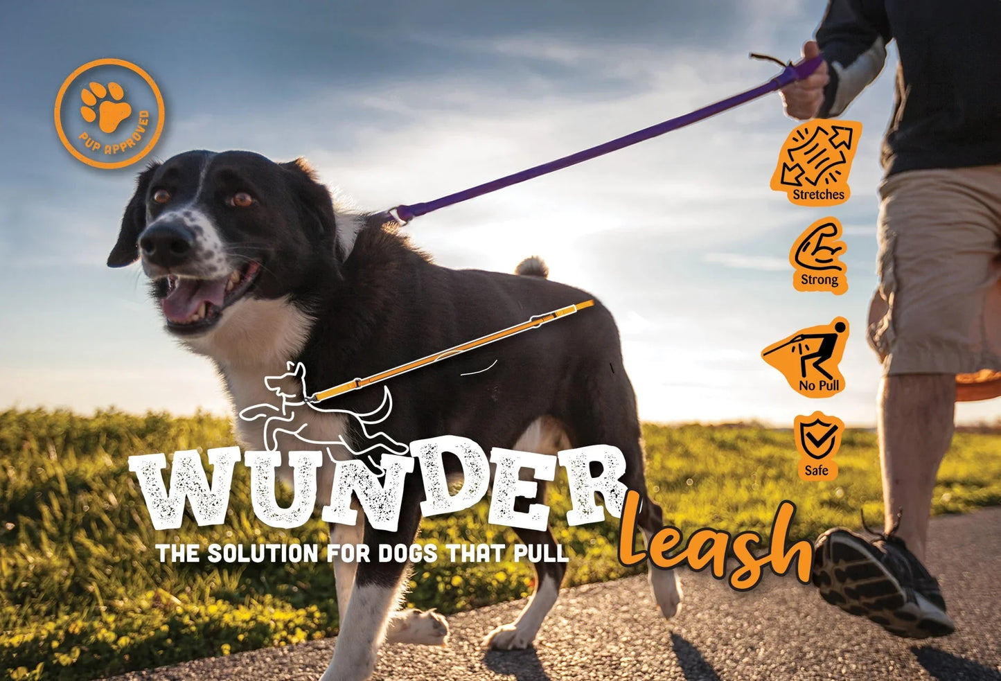 Dog wearing purple WUNDERleash no-pull leash as a person holds the lead.